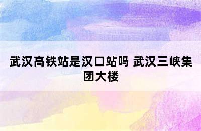 武汉高铁站是汉口站吗 武汉三峡集团大楼